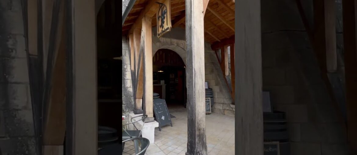 tasting french wine  #winecellar  #travel  #amboise #vineyards #devinci #gastronomie