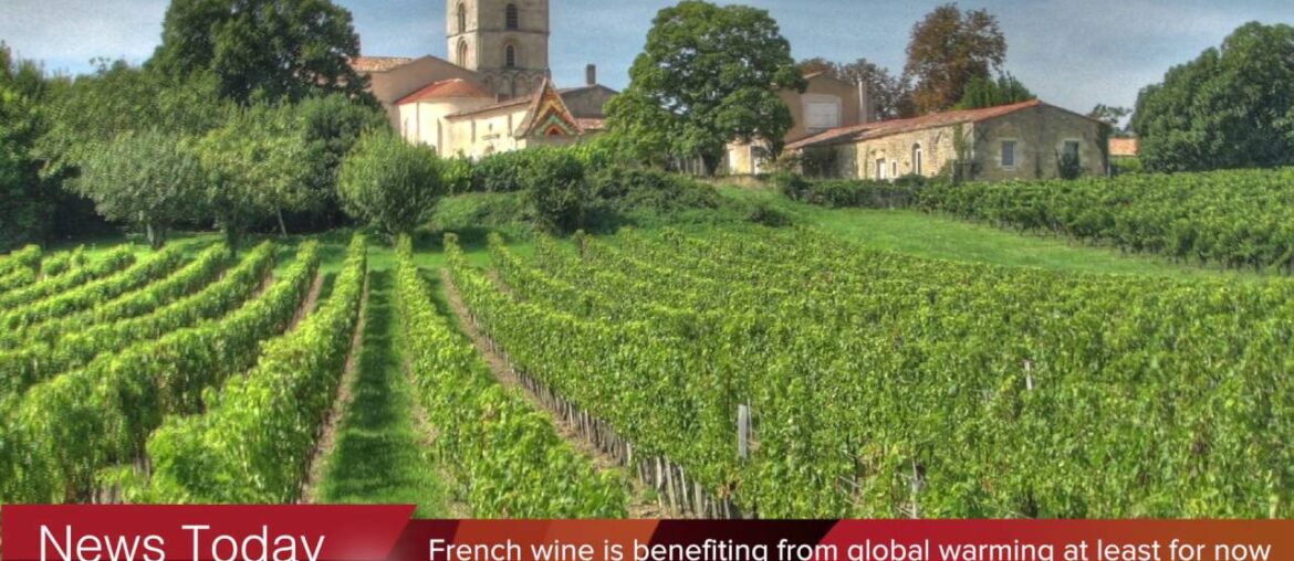 French wine is benefiting from global warming at least for now | News Today French wine is benefiting from global warming at least for now | News Today