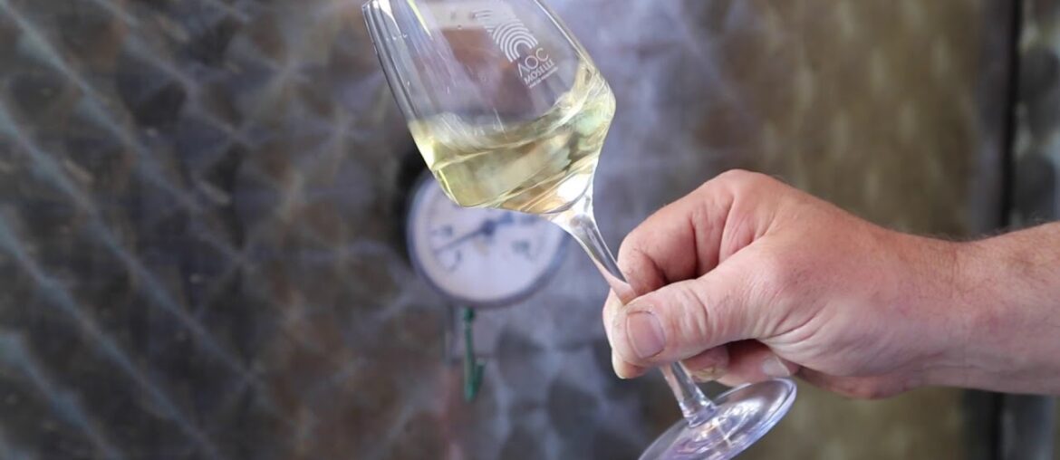 France Wine producer / France Moselle Contz les bains Domaine Sontag Producteur de vin France Wine producer / France Moselle Contz les bains Domaine Sontag Producteur de vin