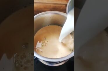 morning bf ginger t and french bread toast #food #foodshorts #morningroutine #breakfast