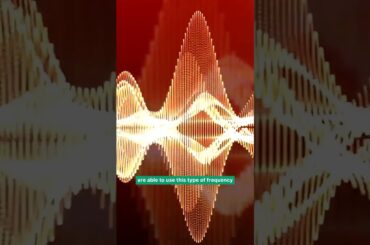 Tree of Life Depicts Frequency of Human DNA