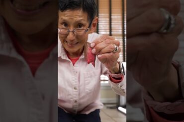 Dobby’s Snack Elite 8