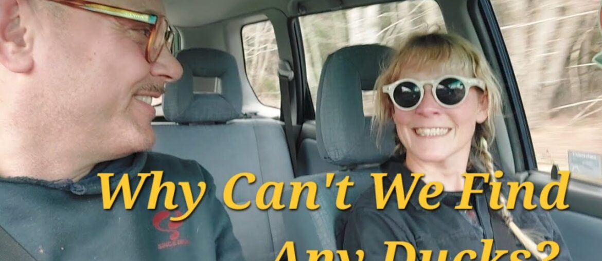 Ep 107 | What's Happened to the French Ducks? | Struggling Farmers Market | French Farmhouse Life |