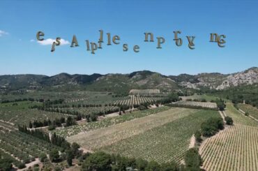 les Alpilles Limo https://limo-taxi-mougins.com/portfolio/tour-en-provence/