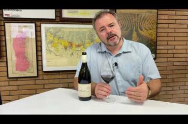 Wine Review: Mullineux Swartland Syrah 2017