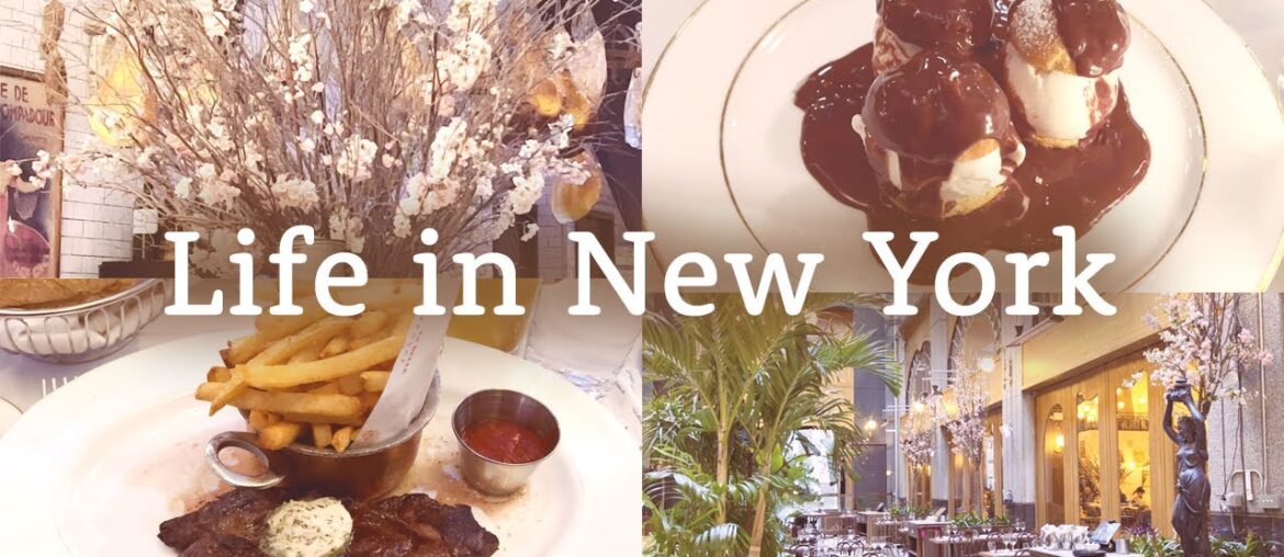 New York vlog | How we spend our days | Best French food and dessert | Relaxing stroll New York vlog | How we spend our days | Best French food and dessert | Relaxing stroll