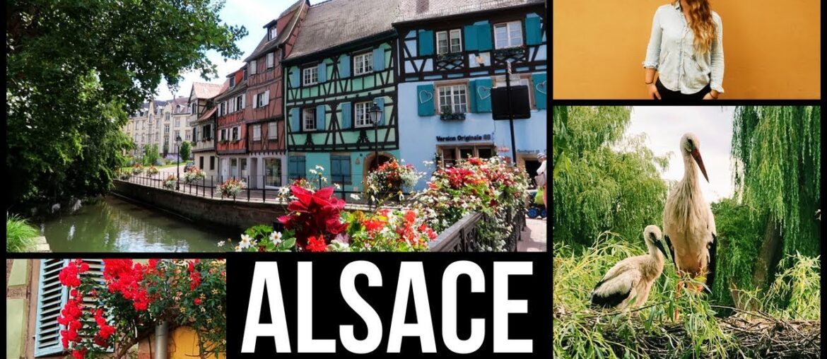 EXPLORING FRANCE: Alsace Region – Strasbourg, Colmar, Riquewihr & more EXPLORING FRANCE: Alsace Region - Strasbourg, Colmar, Riquewihr & more