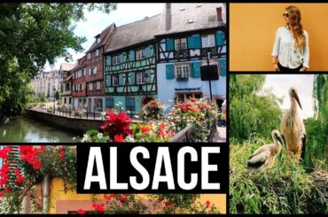 EXPLORING FRANCE: Alsace Region - Strasbourg, Colmar, Riquewihr & more