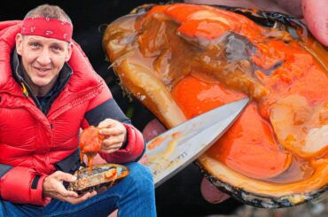 Surviving Europe’s BIzarre Seafood Nation!! The Faroe Islands! (Full Documentary)