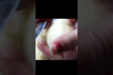 French fries recipe #viral #shortsfeed #trending #ytshorts $VOmFoods