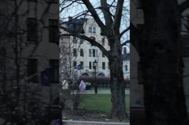 top class french sweat hotel and gourmet resturang