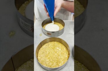 entremets and mousse cakes - day 81 of french pastry school