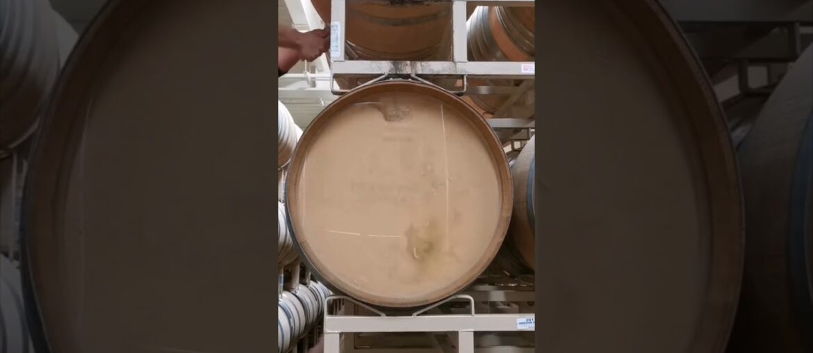 Napa Valley Wine - Stirring the Lees in Barrel at Frank Family Vineyards