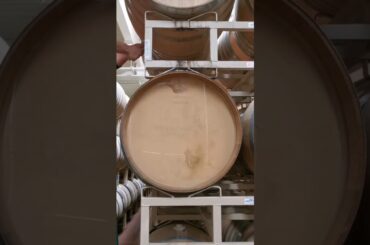 Napa Valley Wine - Stirring the Lees in Barrel at Frank Family Vineyards