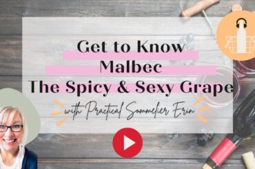 Get to Know Malbec - The Spicy and Sexy Grape | Wine Tips