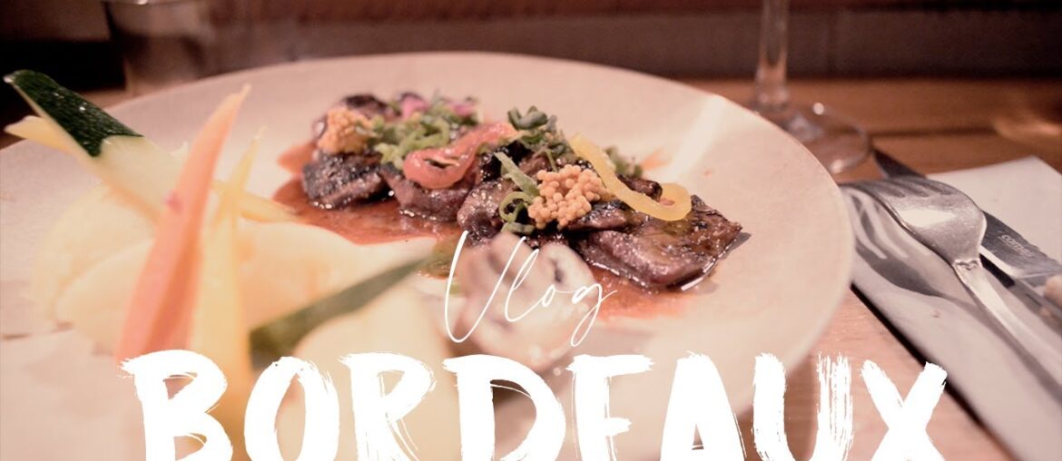 Bordeaux Vlog | Episod 1 | Saint-Pierre District and Hotel de ville district  #silentvlog