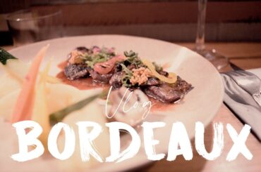 Bordeaux Vlog | Episod 1 | Saint-Pierre District and Hotel de ville district  #silentvlog