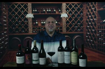 Mundo de Vinos, Bienvenidos a mi canal