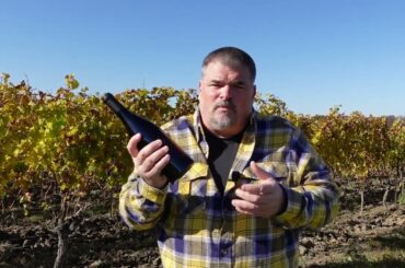 MIND-BLOWING: Domaine de Nerleux 2018 Les Loups Noirs (Loire, France)