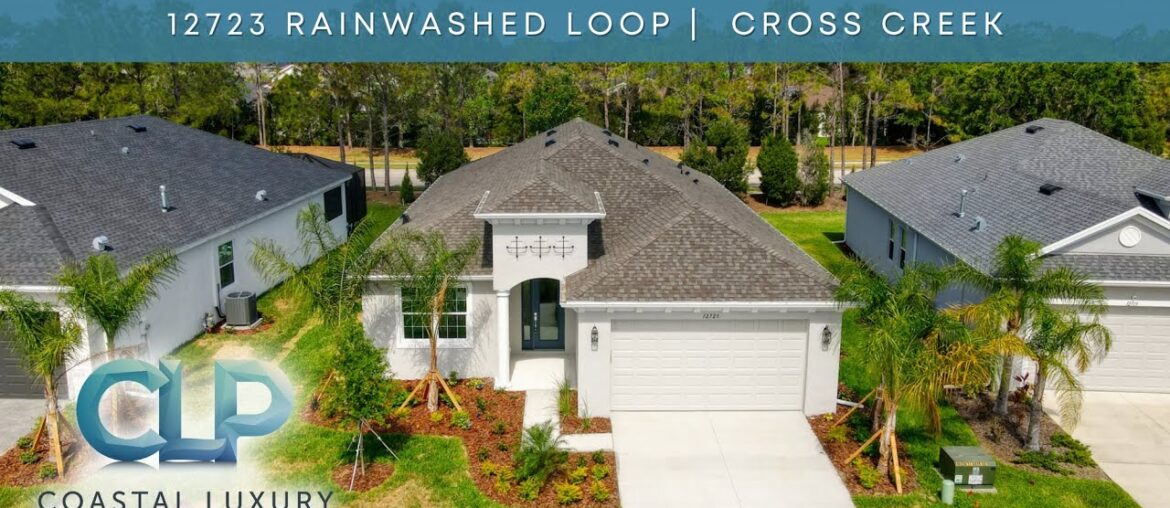 12723 Rainwashed Loop, Parrish, FL 34219 - Video Tour