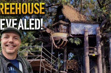 Adventureland Treehouse has been revealed | Disneyland Construction 04-09-2023
