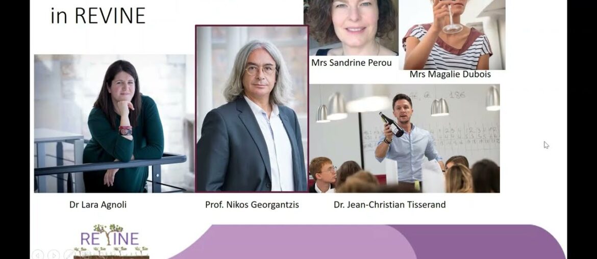 REVINE presentation: the French partner