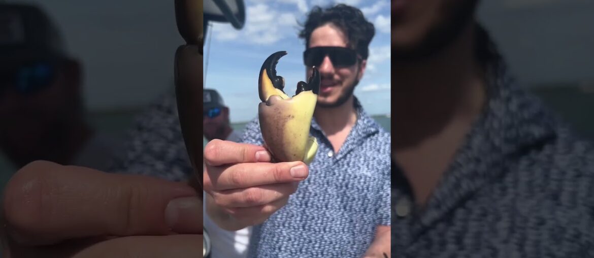 We Caught Crabs (and cooked them)