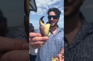 We Caught Crabs (and cooked them)