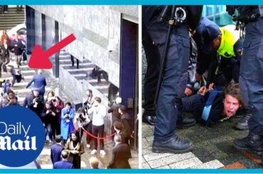 Dramatic moment France pension protester tries to tackle Macron