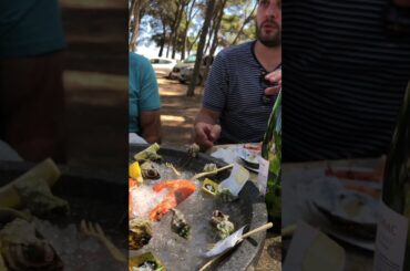 Languedoc Adventure  | Value For Money French Wines #shorts