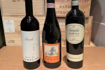 Barolo For Beginners