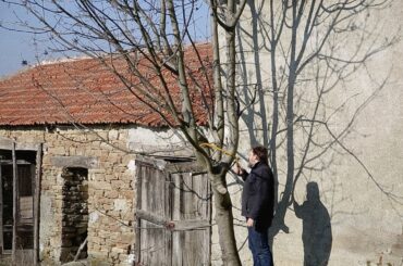 #3 Living the dream - Tackling chores on our Italian homestead