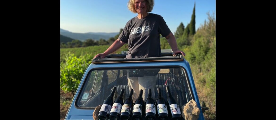 Which French Wines Will You Buy?