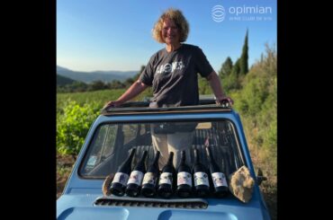 Which French Wines Will You Buy?