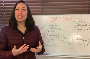 Different French Classifications Explained!