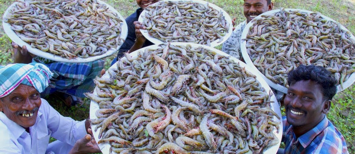 PRAWNS GRAVY Recipe | Villagers cooking Prawns Masala | Shrimp Curry | Healthy Village Food PRAWNS GRAVY Recipe | Villagers cooking Prawns Masala | Shrimp Curry | Healthy Village Food