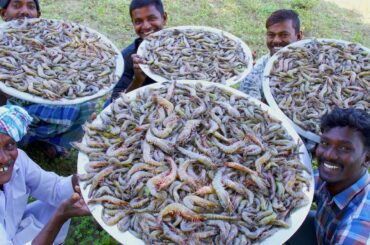 PRAWNS GRAVY Recipe | Villagers cooking Prawns Masala | Shrimp Curry | Healthy Village Food