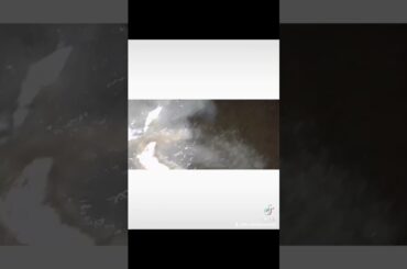 French Fried Shrimp recipe #prawns #foryou #shrimp #seafood