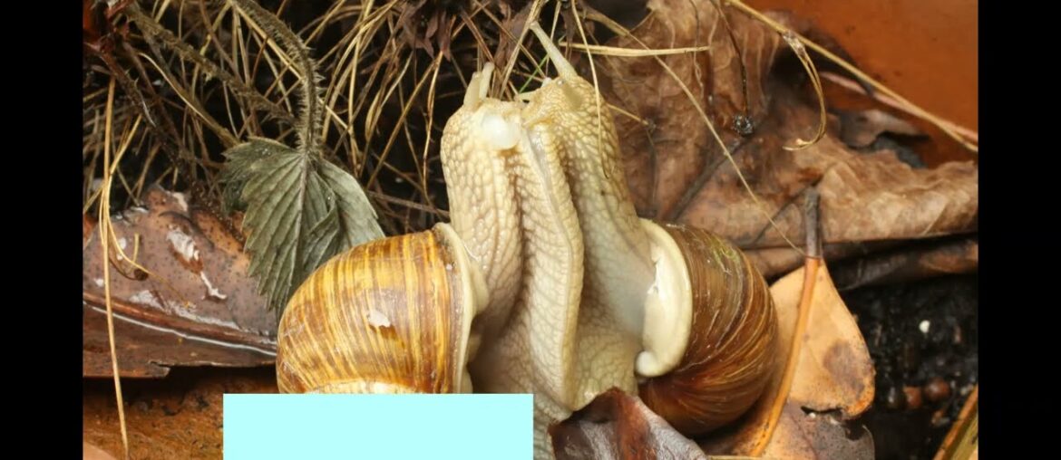 top 10 most sold foods in France #shorts top 10 most sold foods in France #shorts