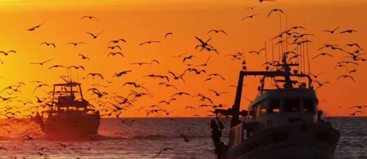 FRANCE 4K || MUSIC VIDEO || DRONE + CINEMATIC VIEWS FRANCE 4K || MUSIC VIDEO || DRONE + CINEMATIC VIEWS