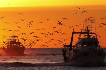 FRANCE 4K || MUSIC VIDEO || DRONE + CINEMATIC VIEWS