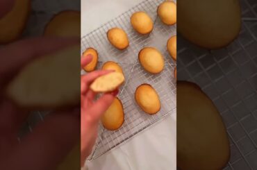 Madeleines: Classic French pastry.