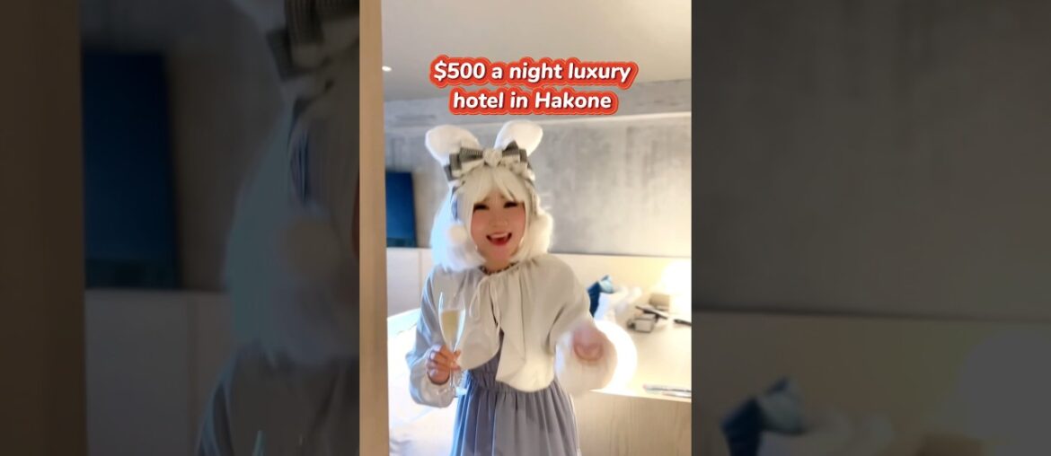 All you can drink at $500 per night luxury hotel in Hakone (HAKONE NICA)