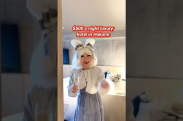 All you can drink at $500 per night luxury hotel in Hakone (HAKONE NICA)