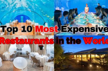 Top 10 Most Expensive Restaurants in the World | LUXPEDIA