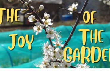 Ep 19. THE JOY OF THE GARDEN #frenchfarmhouse #nodiggardening #regenerativegardening