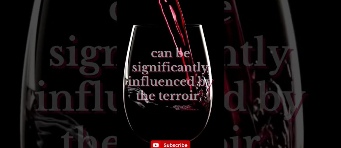 Every wine lover wants to know: What is Terroir? Every wine lover wants to know: What is Terroir?