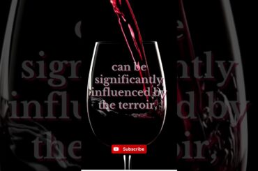 Every wine lover wants to know: What is Terroir?