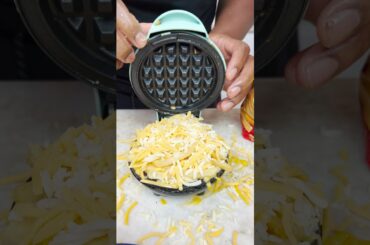 French Fry Waffle Cheeseburger