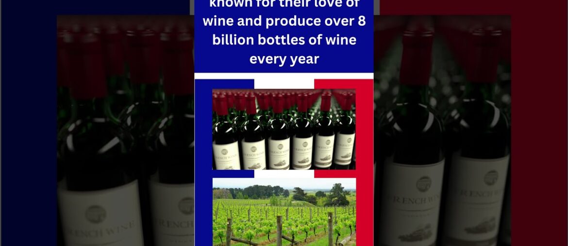 8 Fun Facts About French People  | Geography #14 #shorts